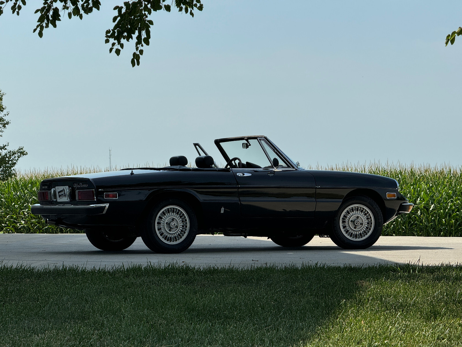 Alfa-Romeo-Spider-1976-Convertible-16