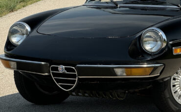 Alfa-Romeo-Spider-1976-Convertible-3
