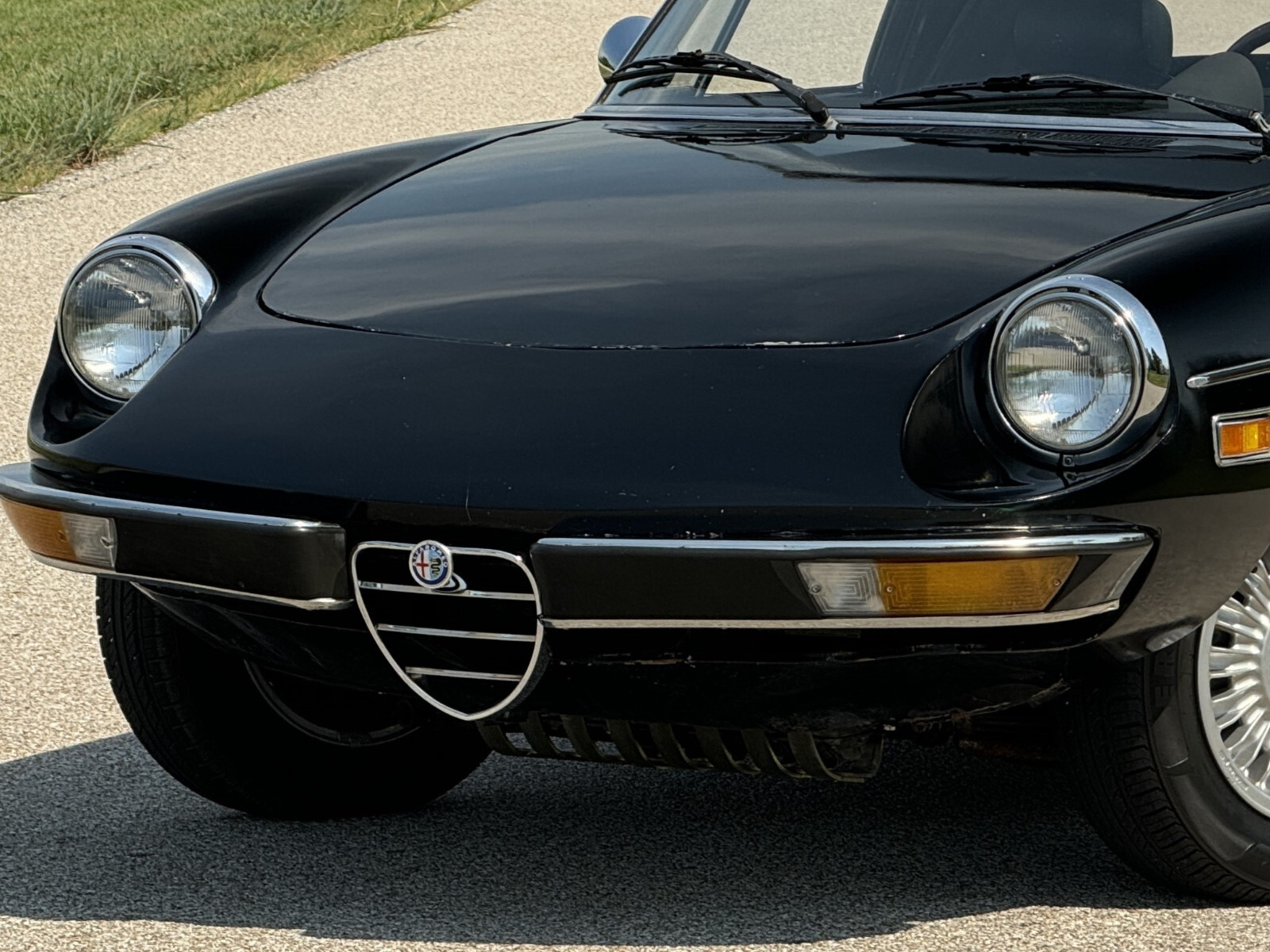 Alfa-Romeo-Spider-1976-Convertible-3