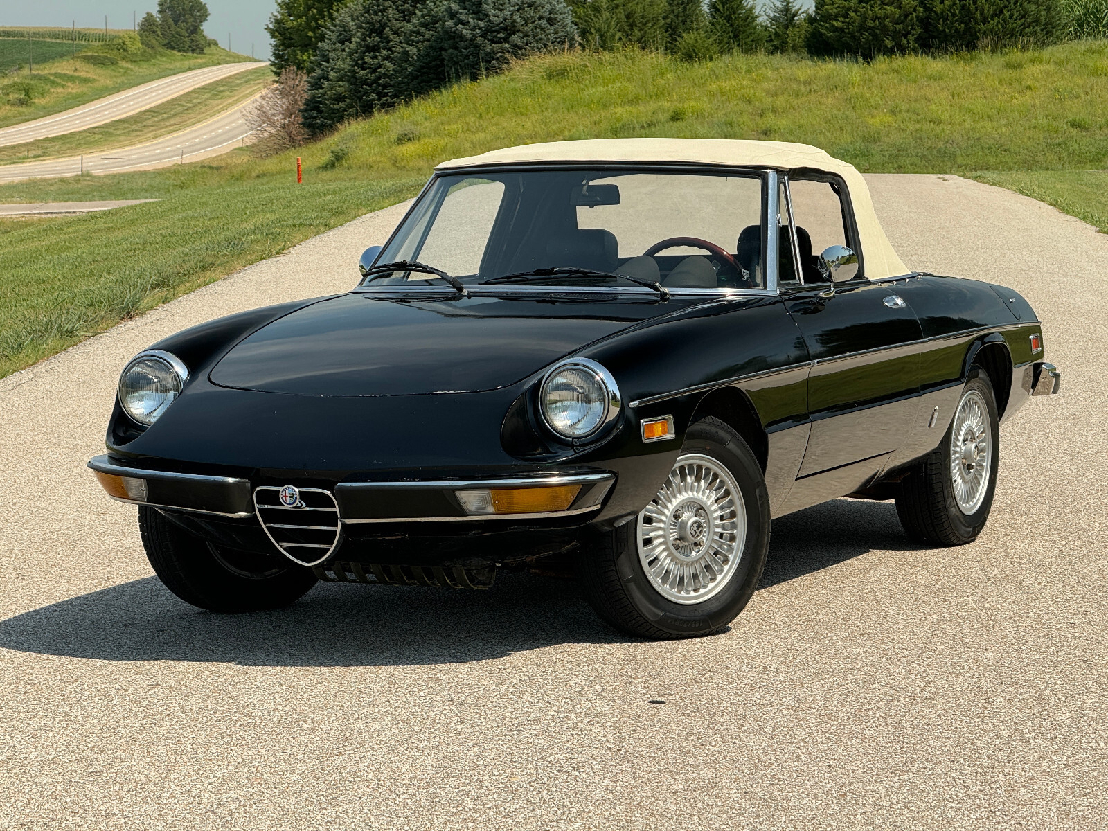 Alfa-Romeo-Spider-1976-Convertible-4