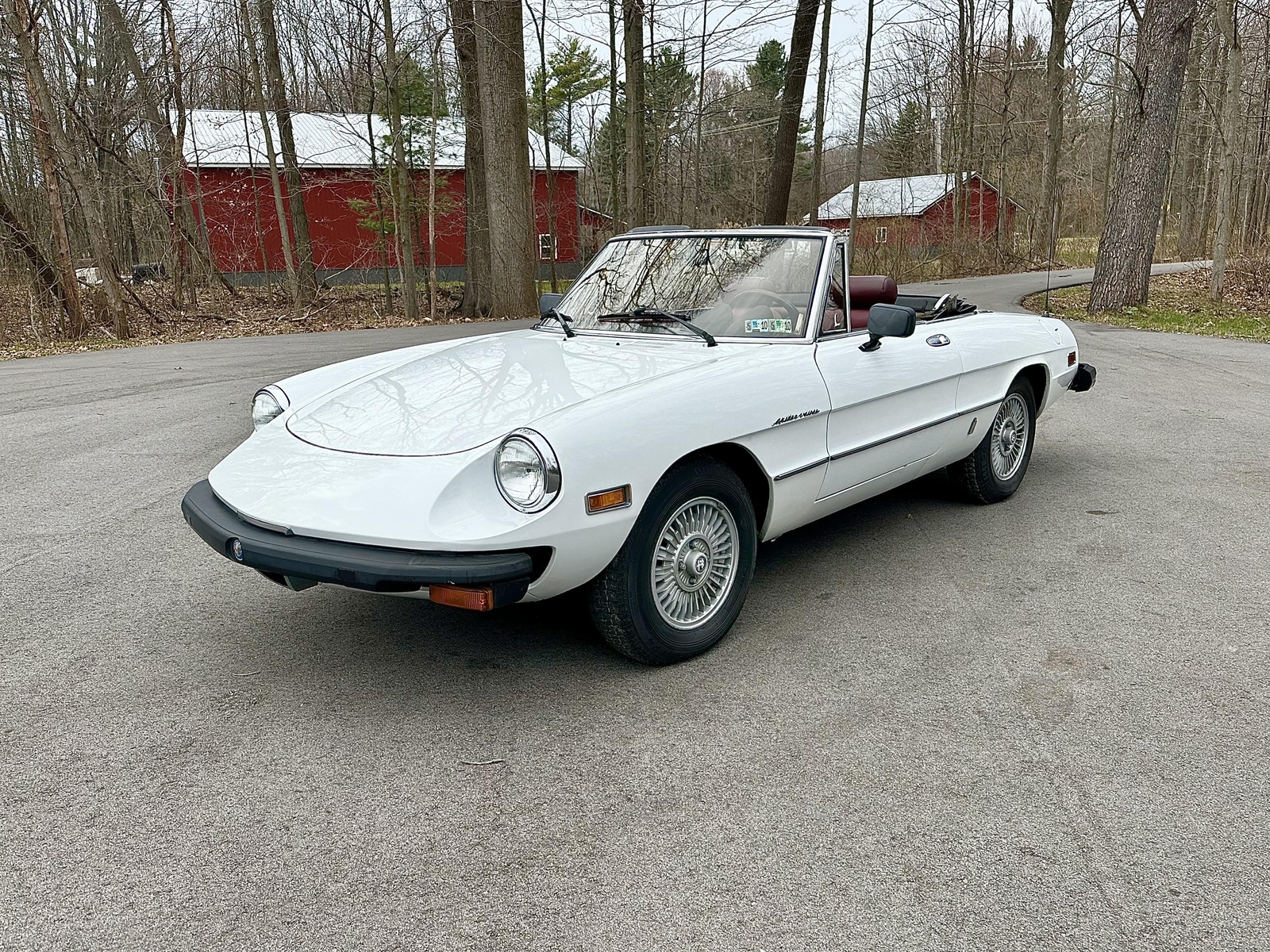 Alfa-Romeo-Spider-1980-EXCELLENT-DRIVER-9