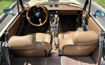 Alfa-Romeo-Spider-1982-Convertible-3