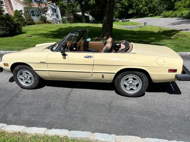 Alfa-Romeo-Spider-1982-Convertible-4