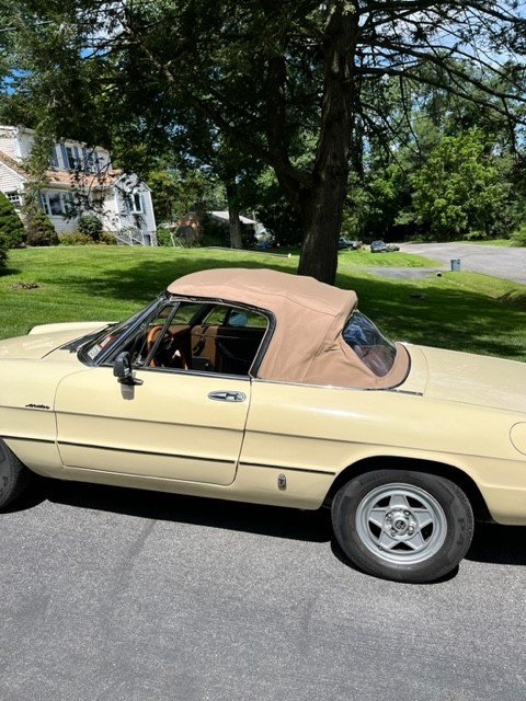 Alfa-Romeo-Spider-1982-Convertible-5
