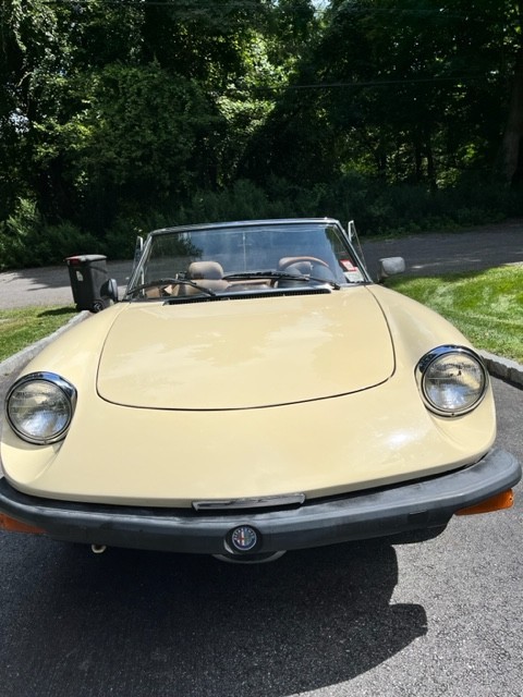 Alfa Romeo Spider 1982 Convertible