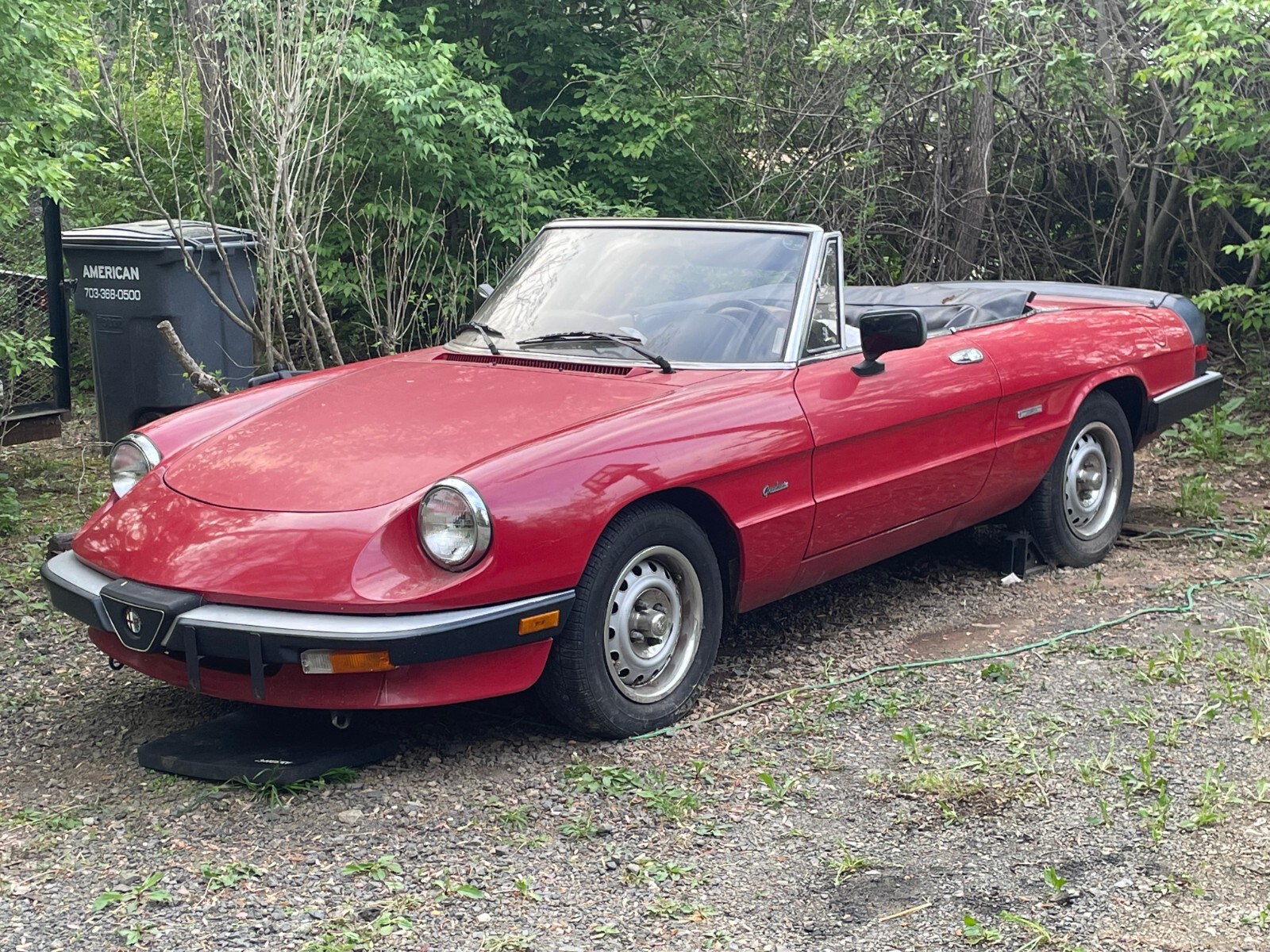 Alfa-Romeo-Spider-1987-Convertible