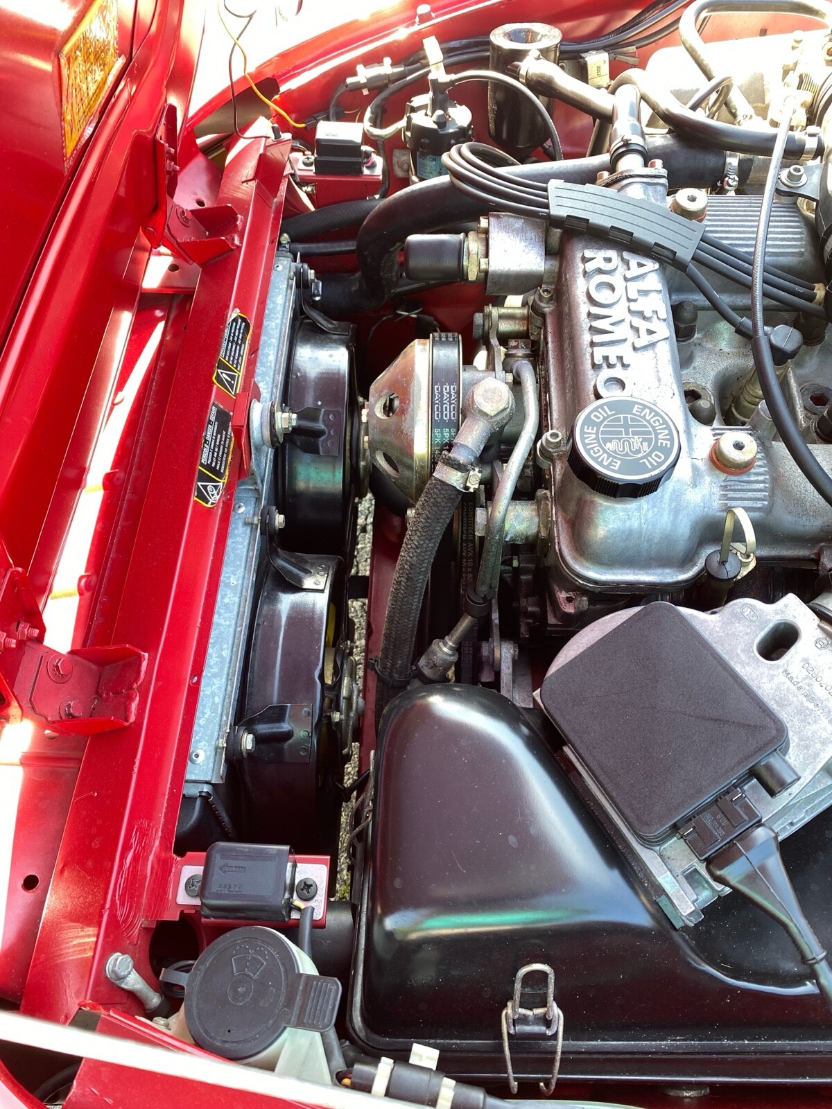 Alfa-Romeo-Spider-1993-Convertible-24
