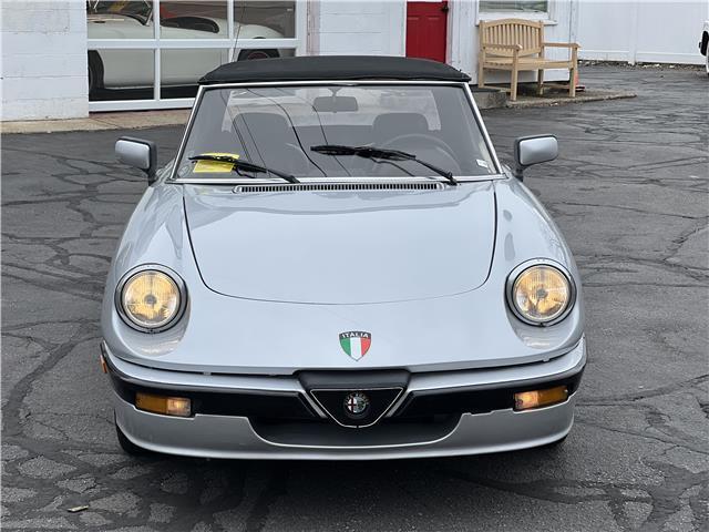 Alfa-Romeo-Spider-Quadrifoglio-1987-10