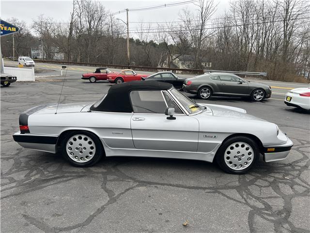 Alfa-Romeo-Spider-Quadrifoglio-1987-16