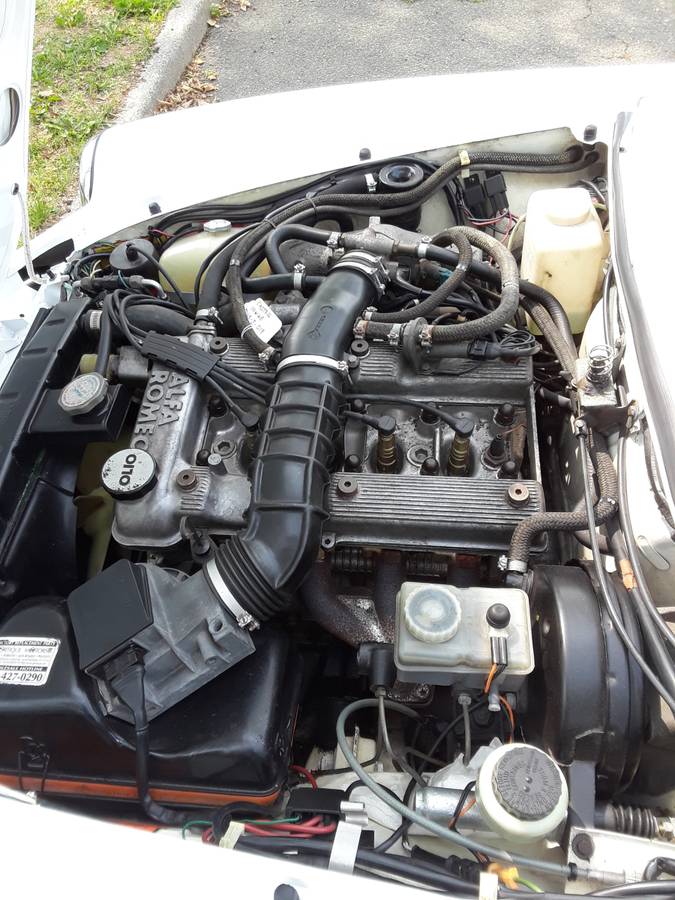 Alfa-romeo-Spider-1986-white-4