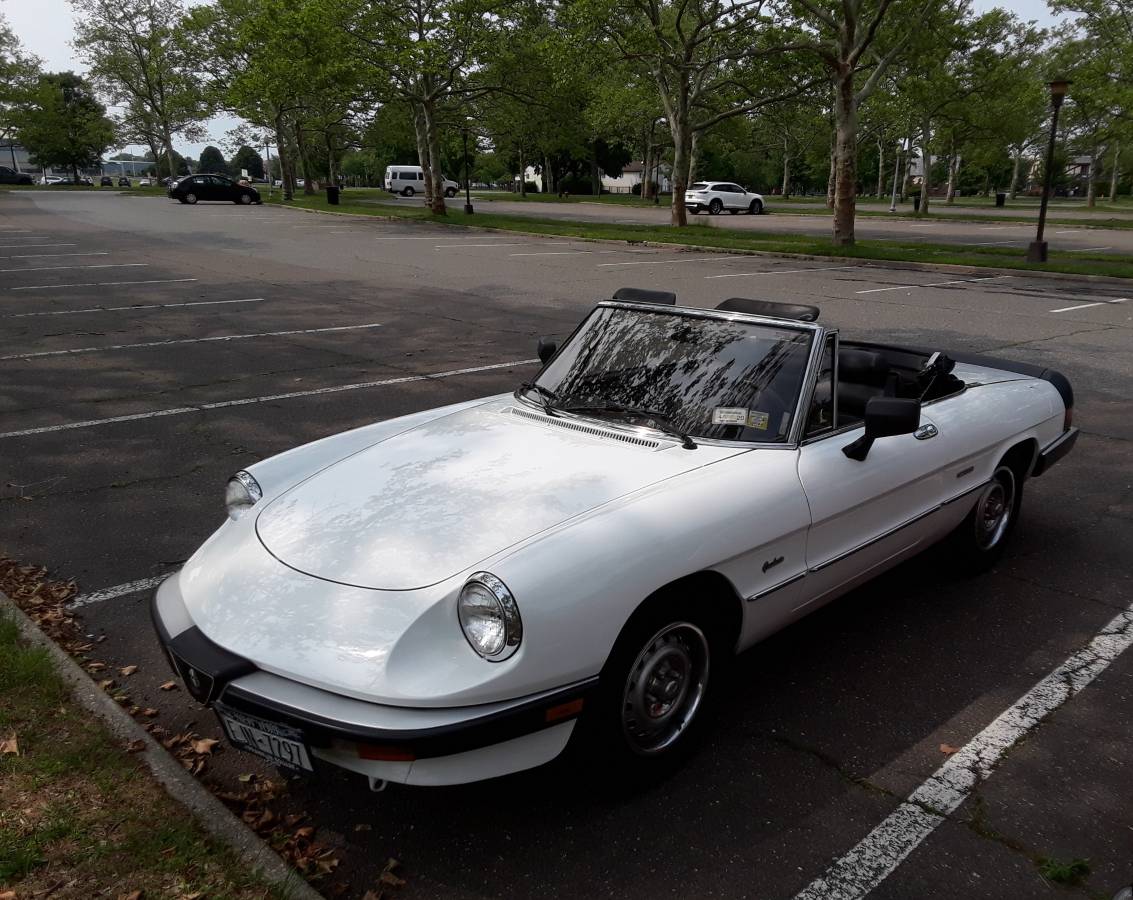 Alfa romeo Spider  1986 white