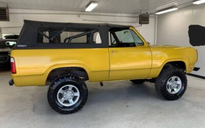 Amc Harger  1977 custom