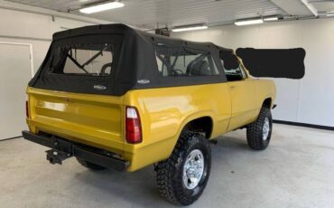 Amc-Harger-1977-custom-4