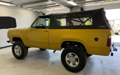 Amc Harger  1977 custom