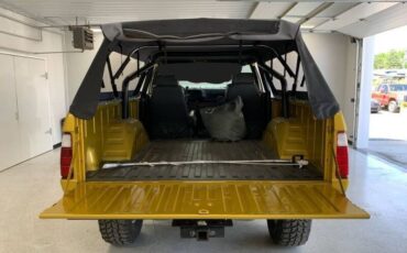 Amc-Harger-1977-custom-6