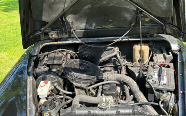 Austin-1979-Sedan-6