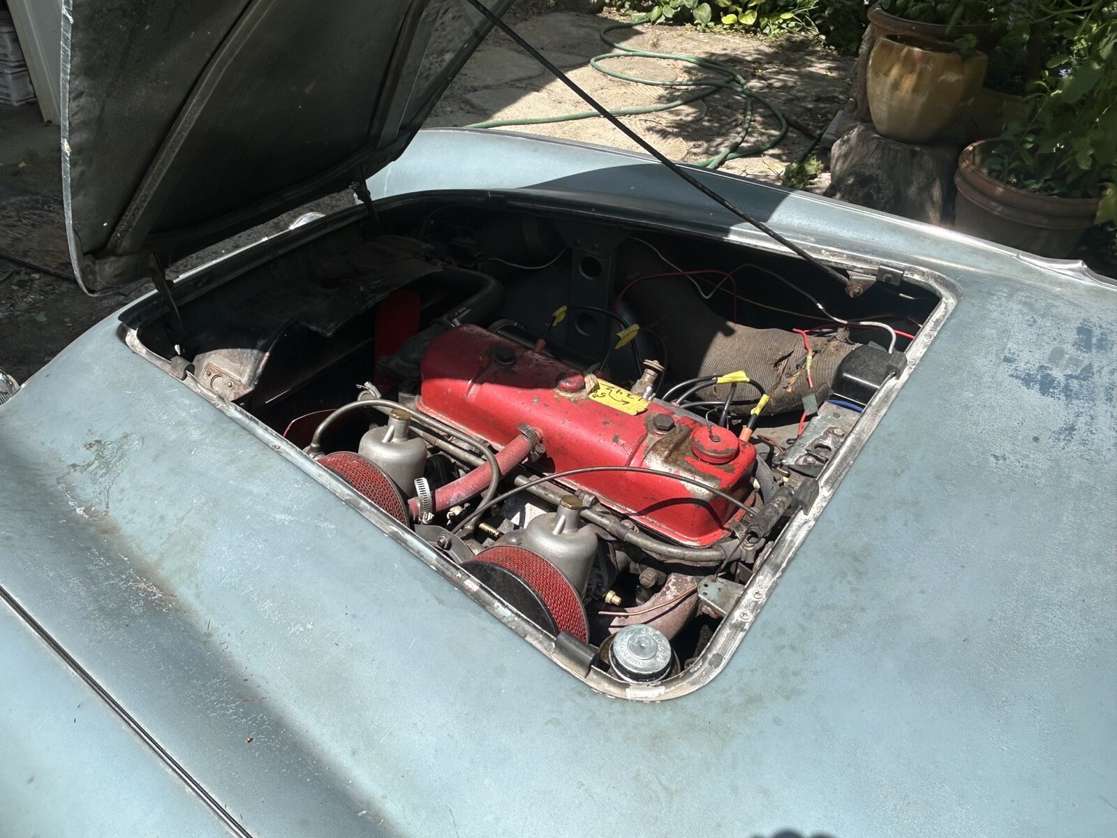 Austin-Healey-100-1955-Convertible-16