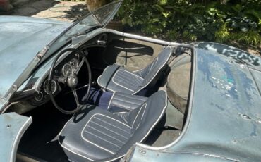 Austin-Healey-100-1955-Convertible-18