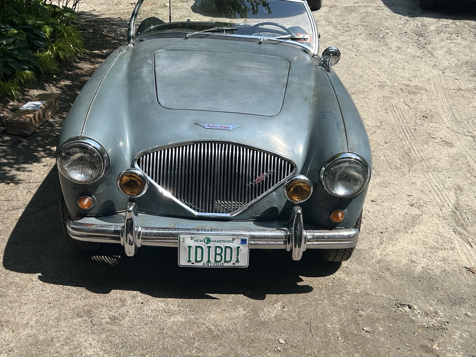 Austin-Healey-100-1955-Convertible-2