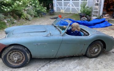 Austin-Healey-100-1955-Convertible-24