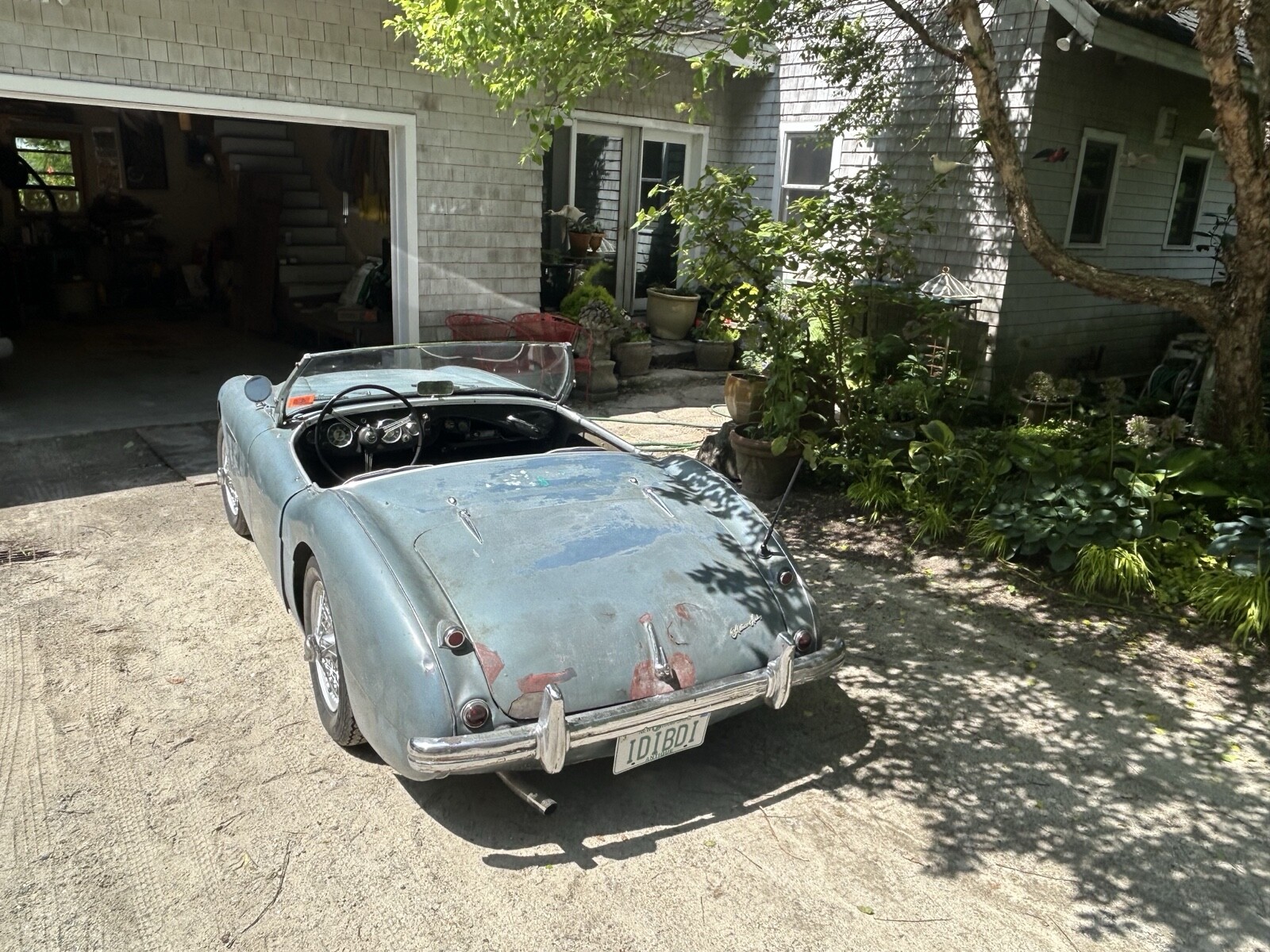 Austin-Healey-100-1955-Convertible-4