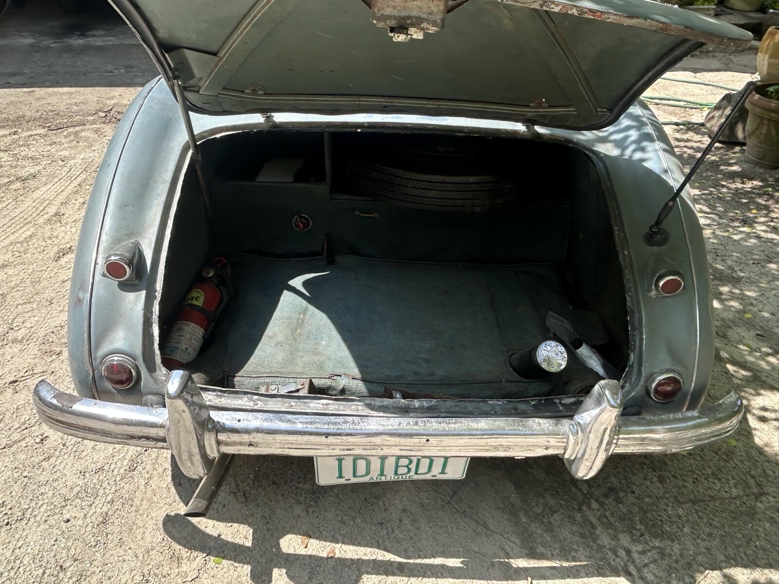 Austin-Healey-100-1955-Convertible-5
