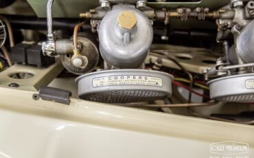 Austin-Healey-100-6-1959-Roadster-29