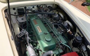 Austin-Healey-1963-convert-36