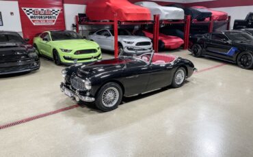 Austin-Healey-3000-1960-Convertible-26