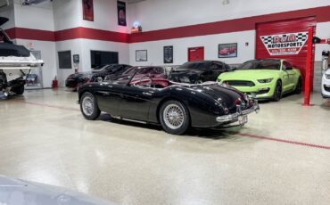 Austin-Healey-3000-1960-Convertible-34