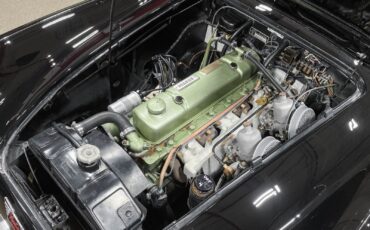 Austin-Healey-3000-1960-Convertible-8