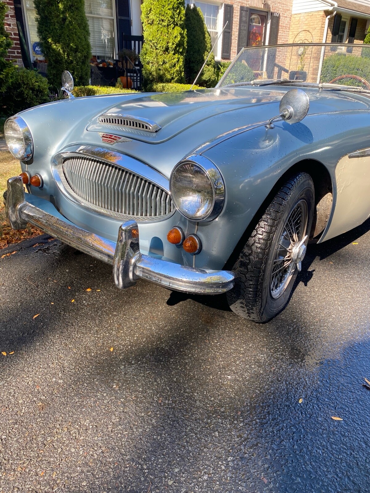 Austin-Healey-3000-1962-2