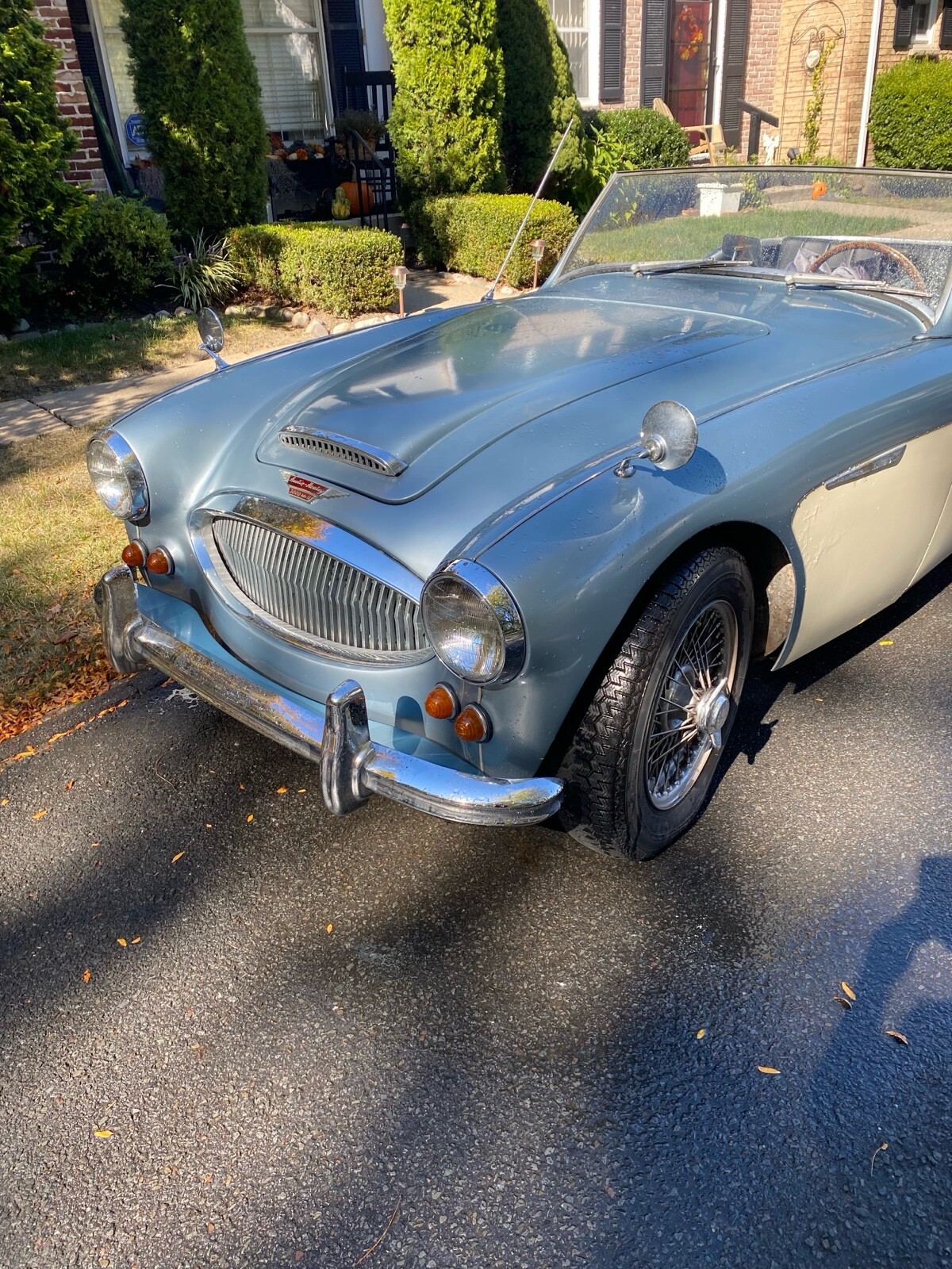 Austin-Healey-3000-1962