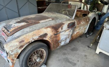 Austin-Healey-3000-1963-1
