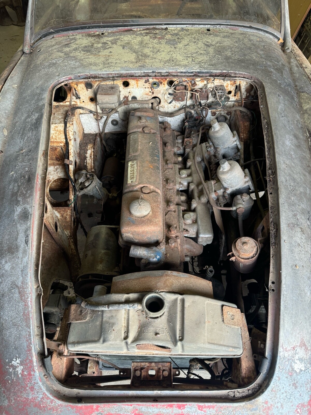 Austin-Healey-3000-1963-26