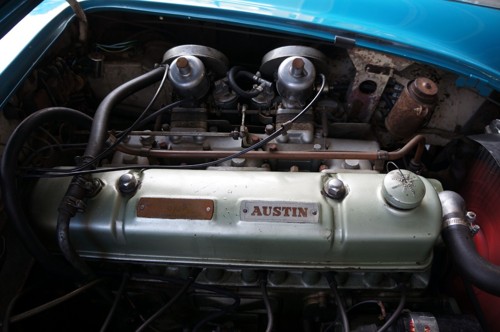 Austin-Healey-3000-1963-Convertible-19
