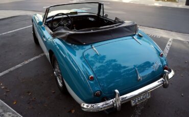 Austin-Healey-3000-1963-Convertible-7