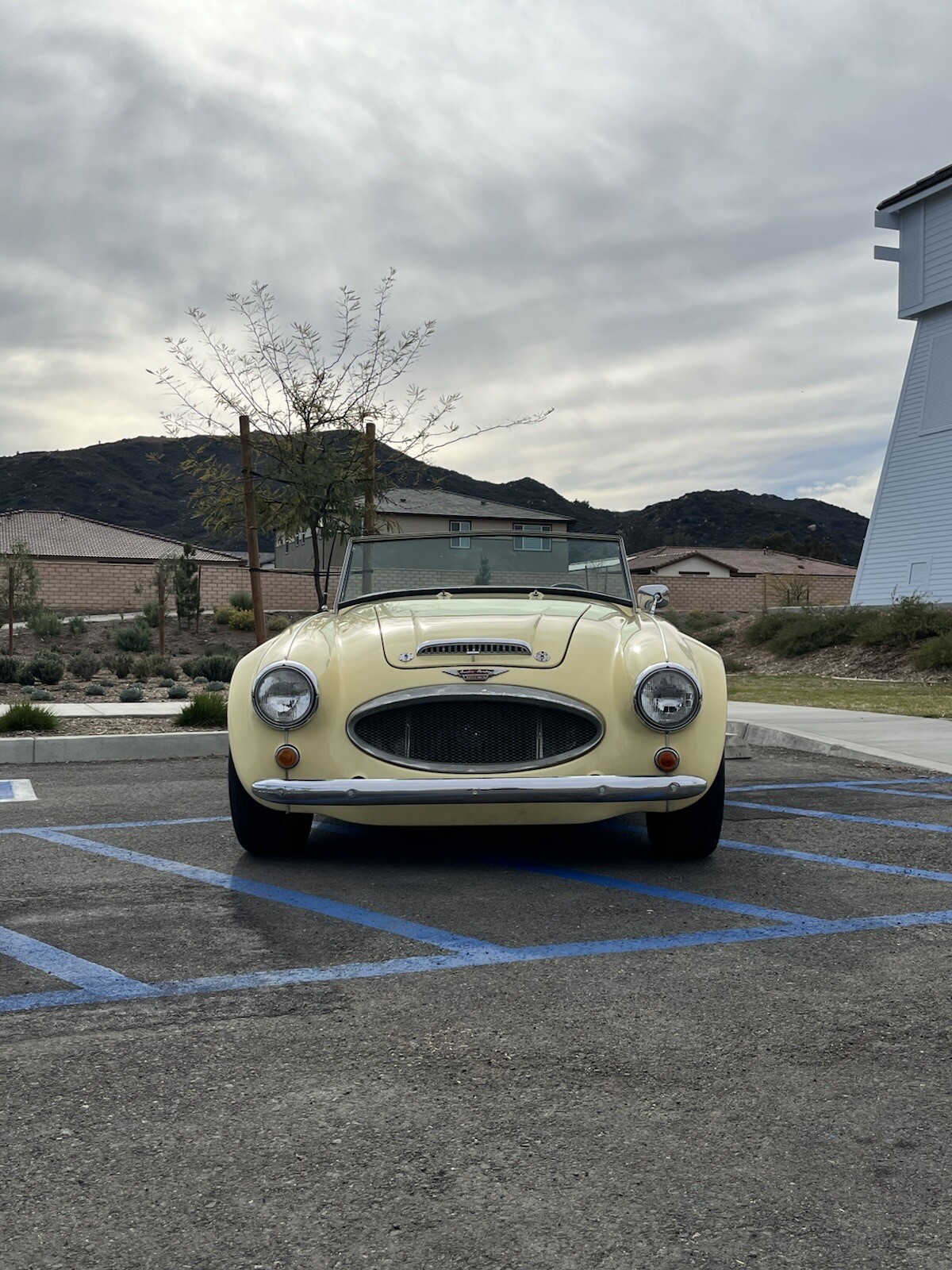 Austin-Healey-3000-1964-Convertible-1