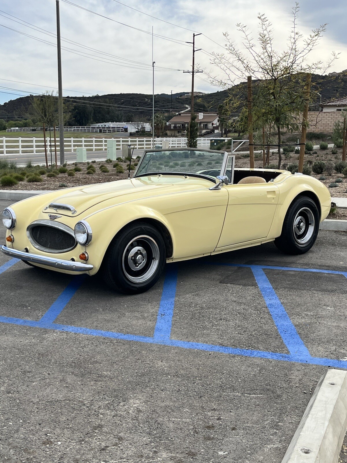 Austin-Healey-3000-1964-Convertible-2