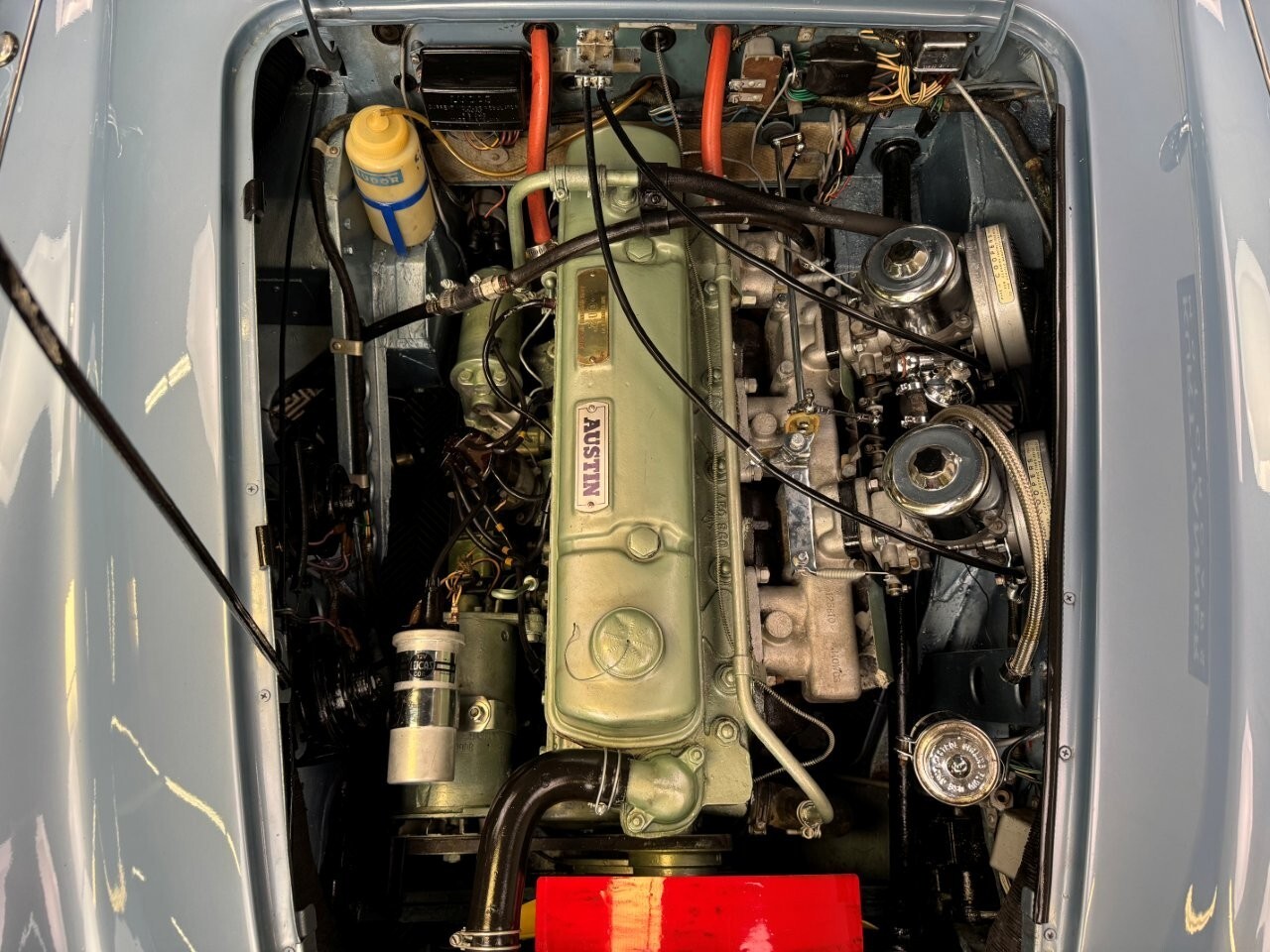 Austin-Healey-3000-1964-Convertible-35