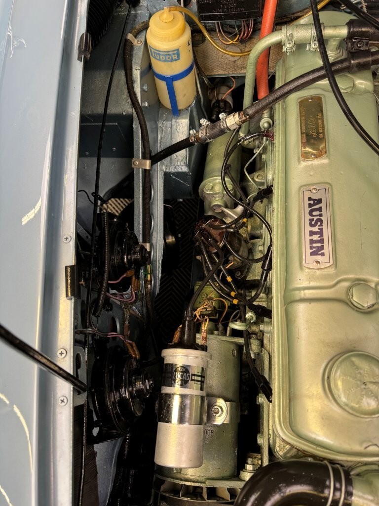 Austin-Healey-3000-1964-Convertible-37