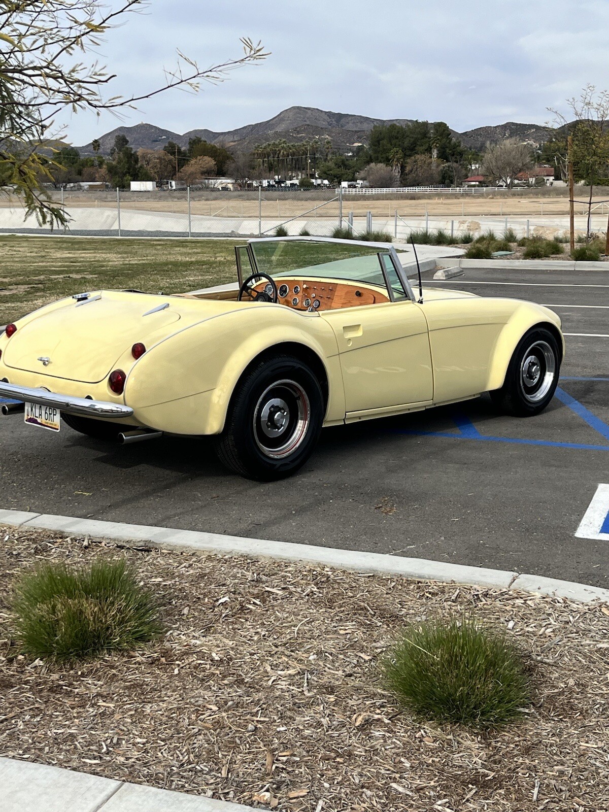 Austin-Healey-3000-1964-Convertible-5