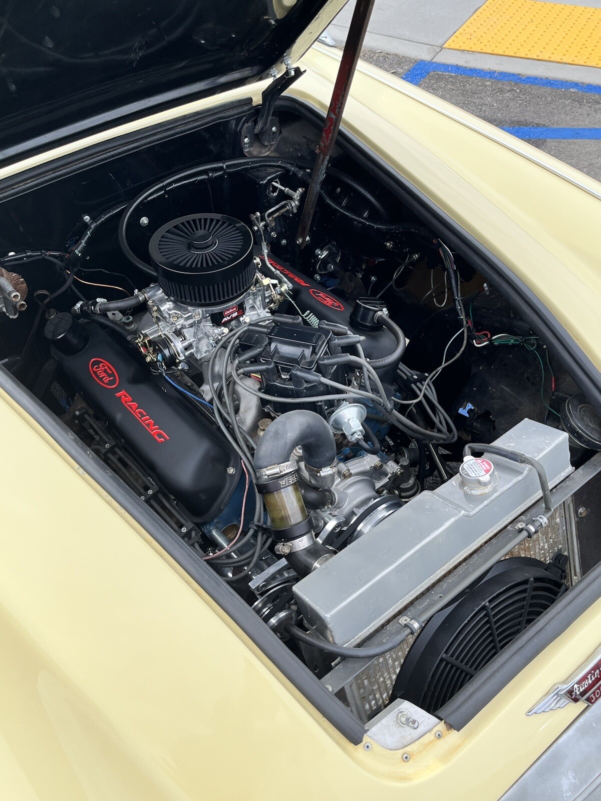 Austin-Healey-3000-1964-Convertible-8