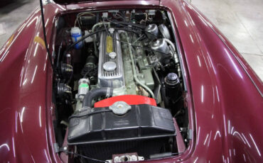 Austin-Healey-3000-1965-Convertible-4
