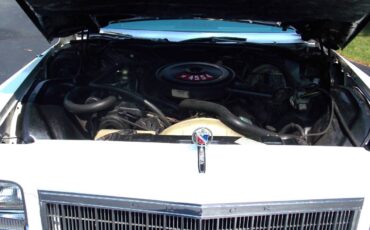 Buick-Electra-limited-park-avenue-1976-white-14