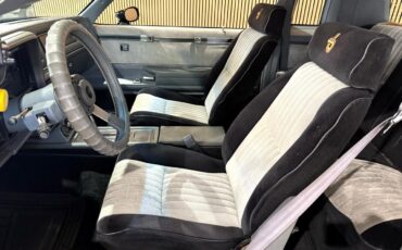 Buick-Grand-National-1987-American-Muscle-Car-23