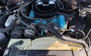 Buick-LeSabre-1975-Coupe-11