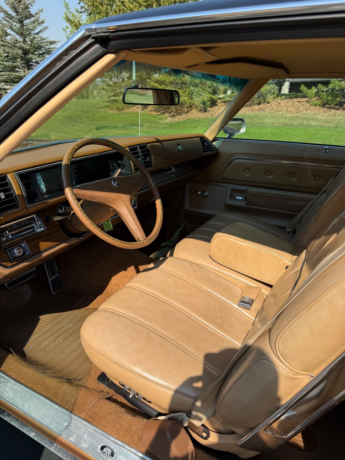 Buick-LeSabre-1975-Coupe-6