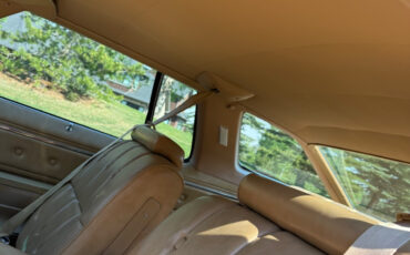 Buick-LeSabre-1975-Coupe-8