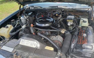 Buick-Lesabre-1984-blue-5